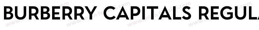 Burberry Capitals Regular字体转换